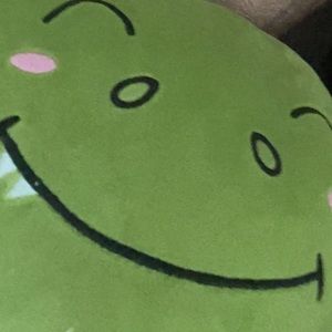 Meet your Posher, Nikita